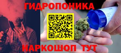 каннабис Новодвинск