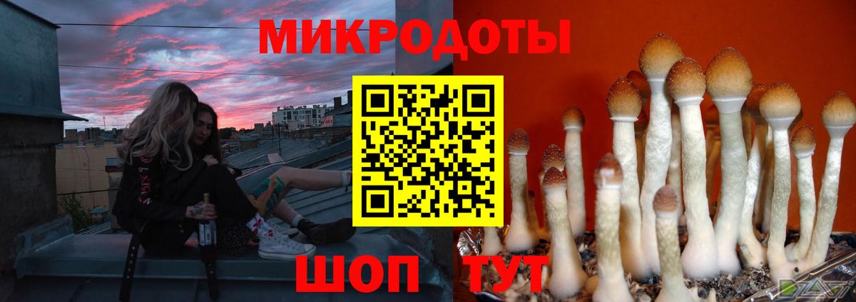 Псилоцибиновые грибы Psilocybe  Галлюциногенные грибы GOLDEN TEACHER  Вход с VPN  Орёл 